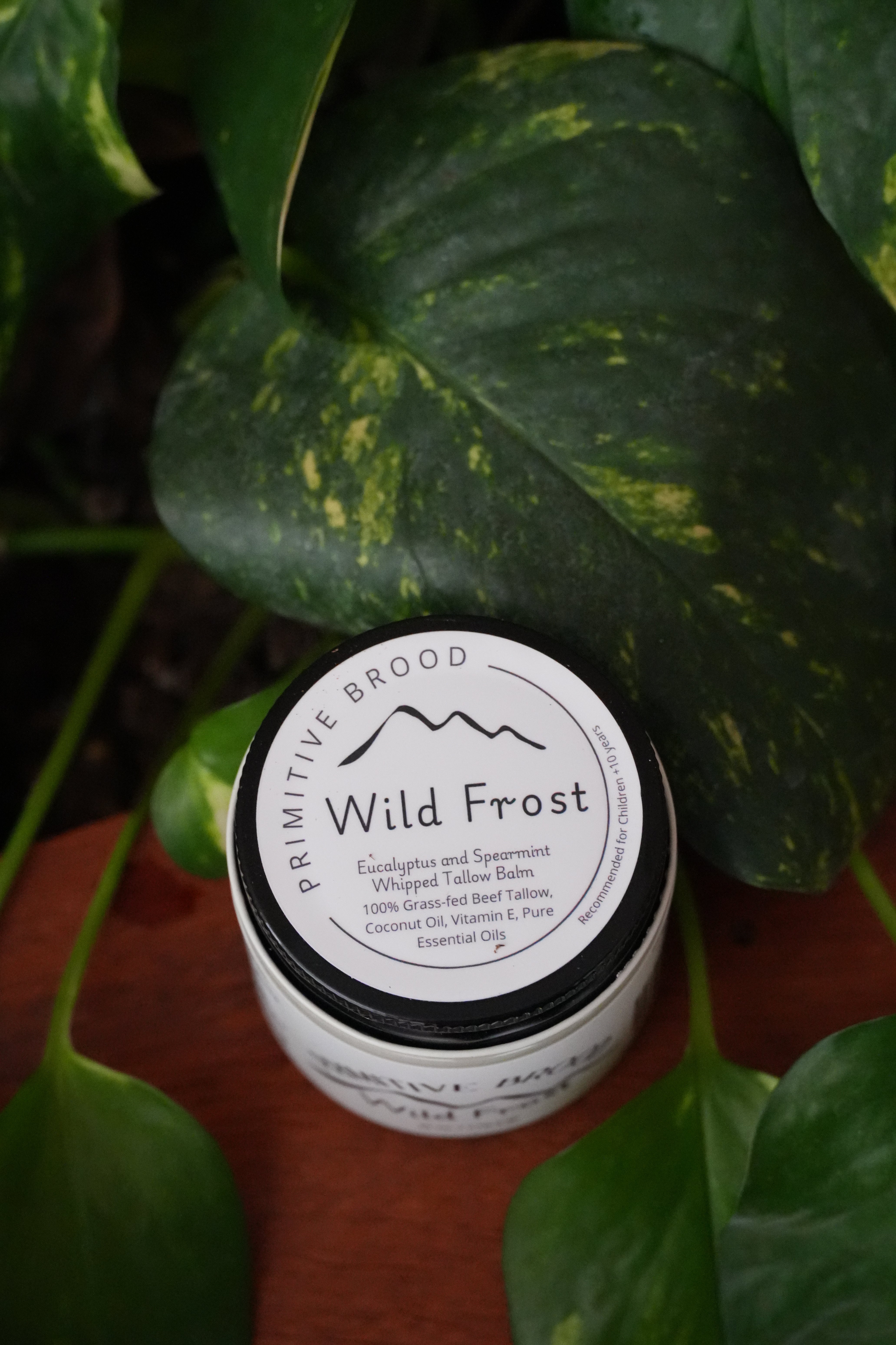 Primitive Brood, Wild Frost. Eucalyptus and Spearmint Whipped Tallow Balm. 100% grass-fed Beef Tallow, coconut oil, vitamin E, pure essential oils.